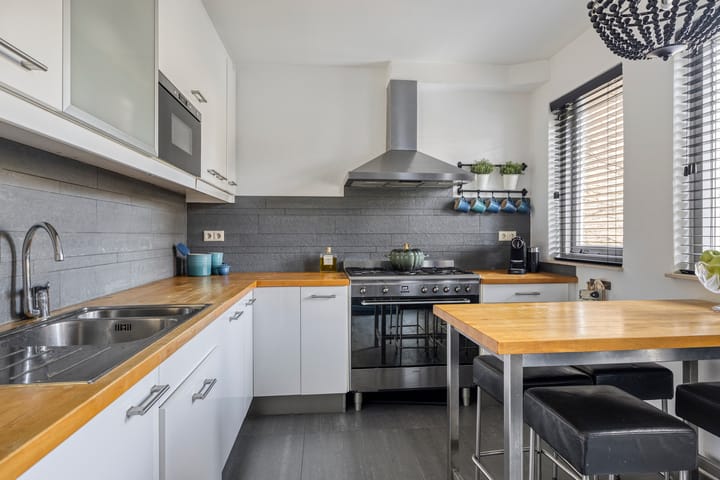 Photo 3 of Vlaamse Gaai 7