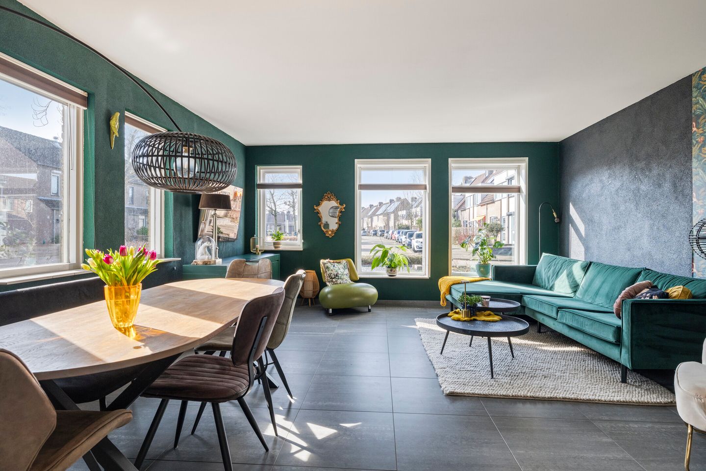 Photo 5 of Vlaamse Gaai 7