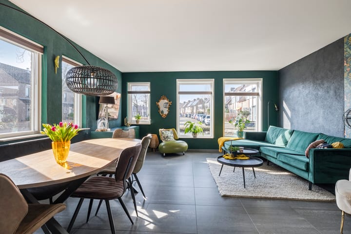 Photo 5 of Vlaamse Gaai 7