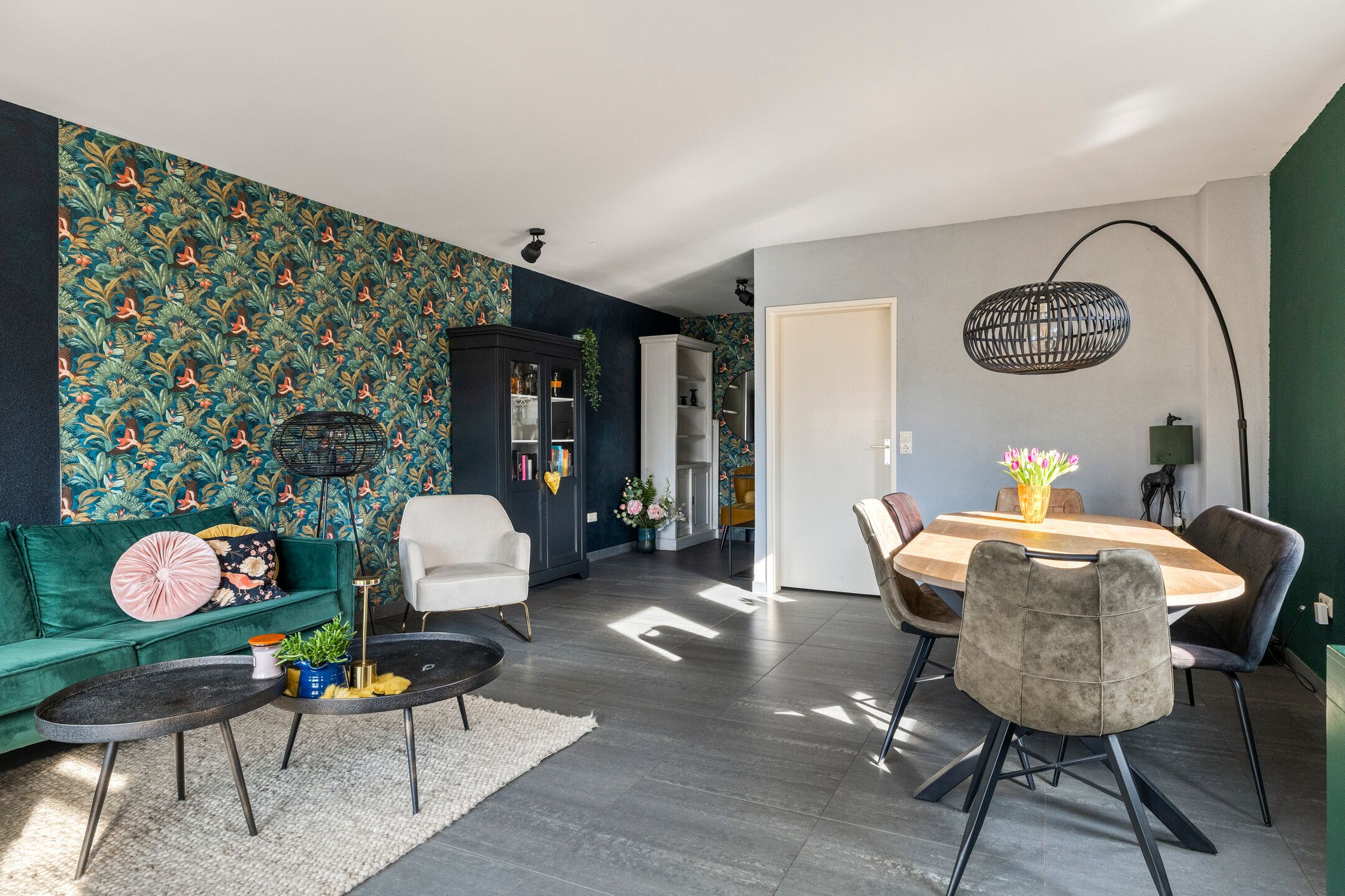 Photo 6 of Vlaamse Gaai 7