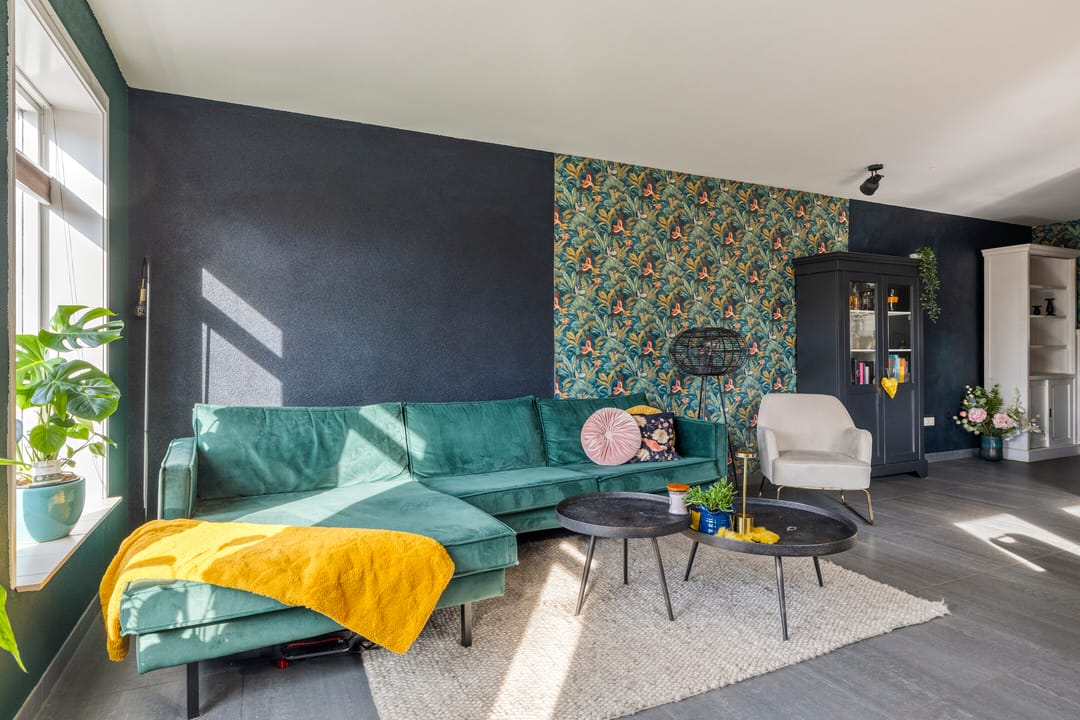 Photo 7 of Vlaamse Gaai 7