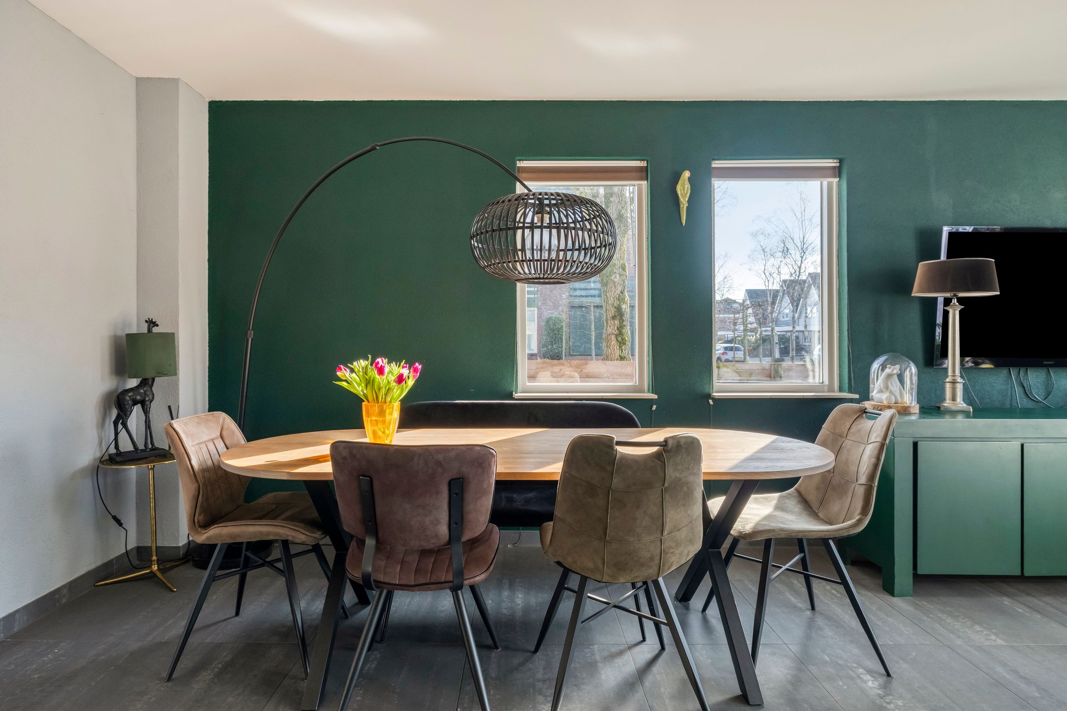 Photo 9 of Vlaamse Gaai 7