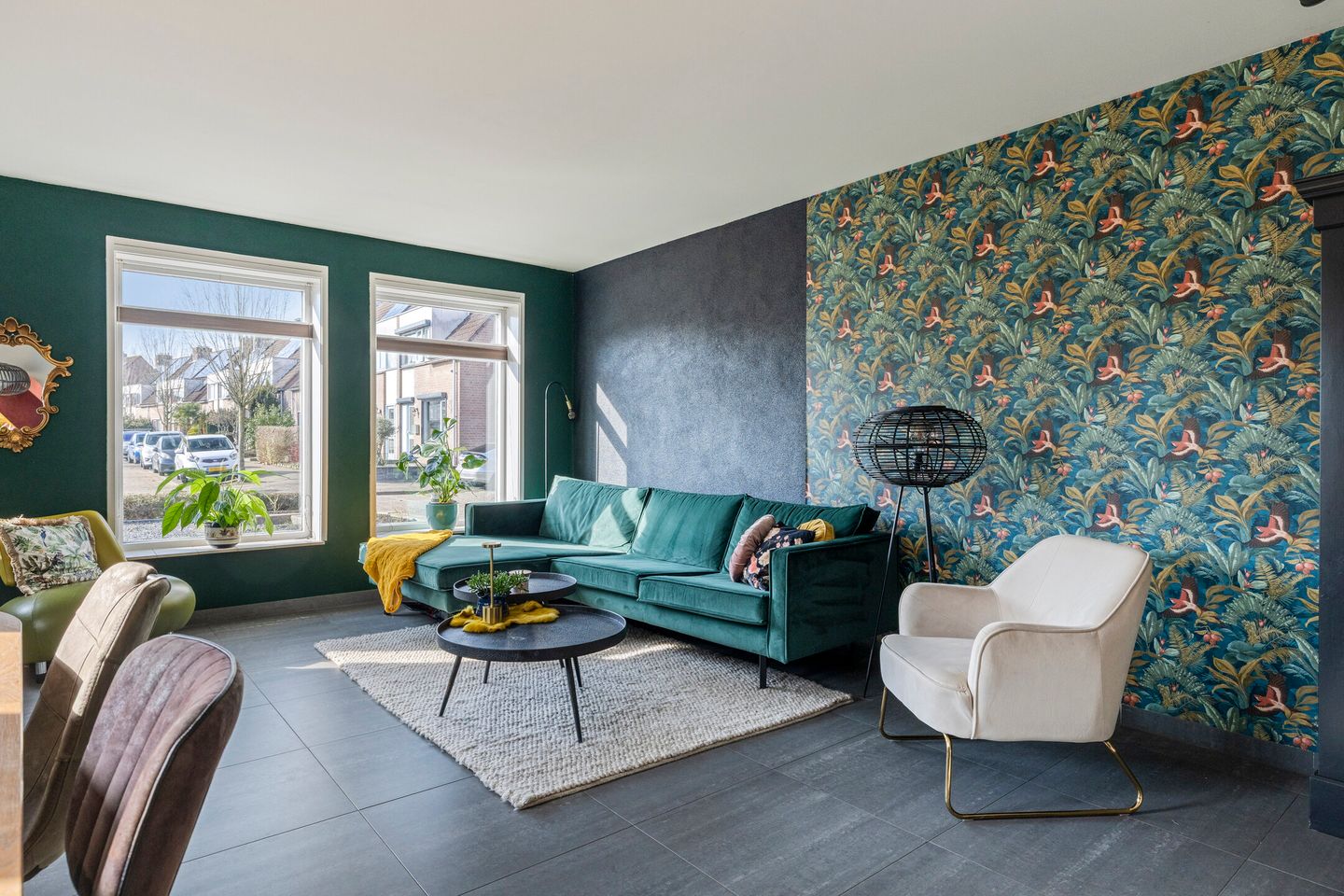 Photo 10 of Vlaamse Gaai 7