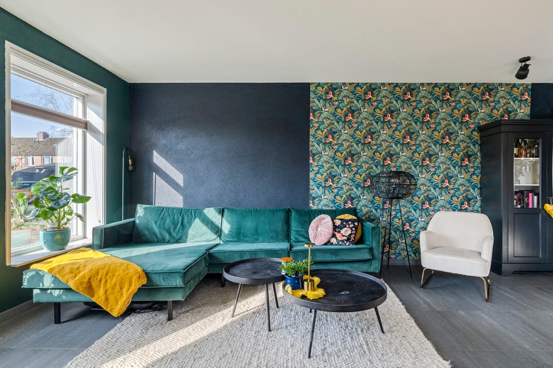 Photo 11 of Vlaamse Gaai 7