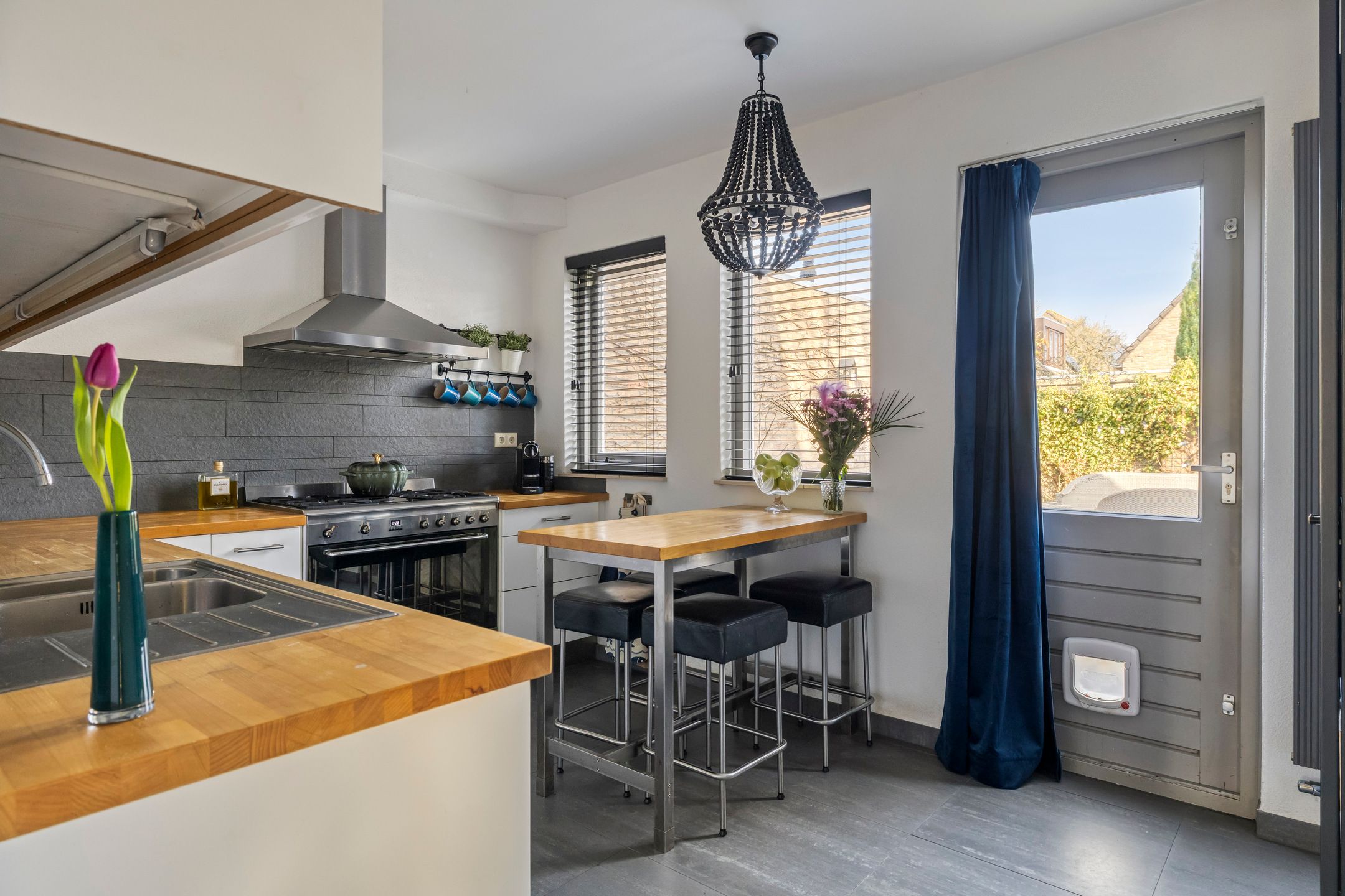 Photo 12 of Vlaamse Gaai 7