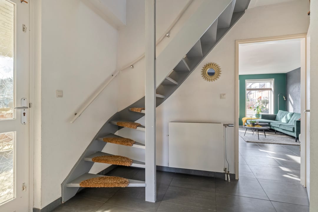 Photo 16 of Vlaamse Gaai 7