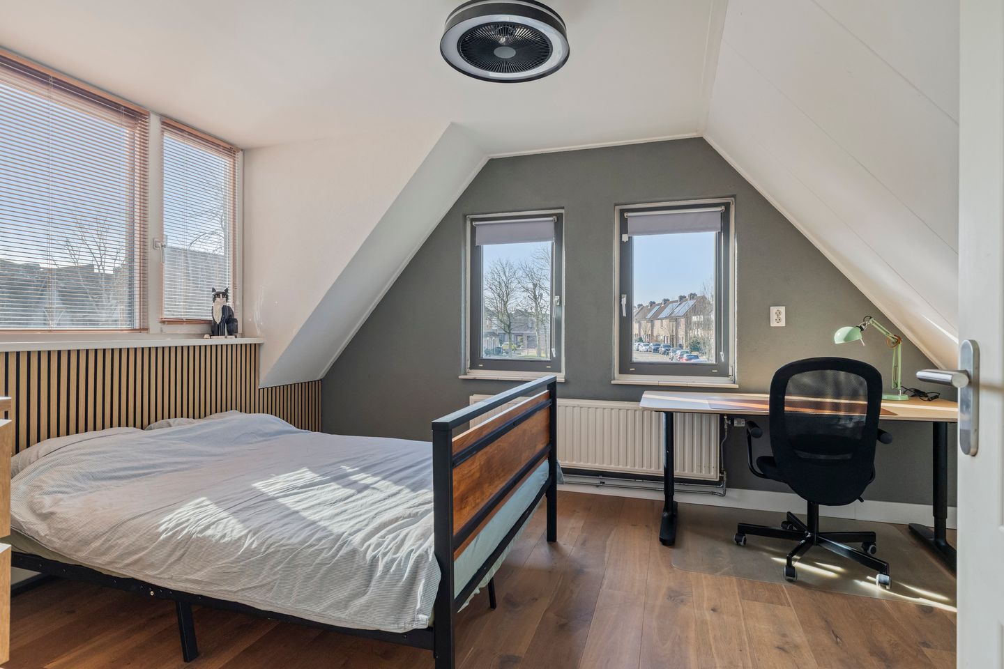 Photo 20 of Vlaamse Gaai 7