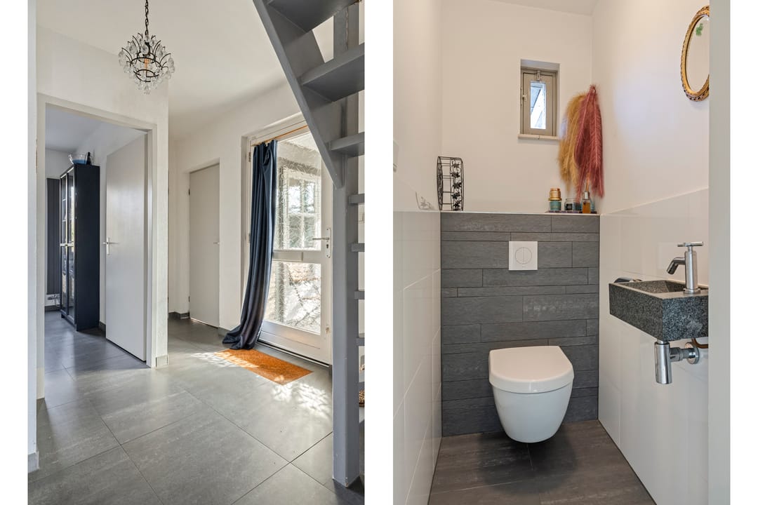 Photo 17 of Vlaamse Gaai 7