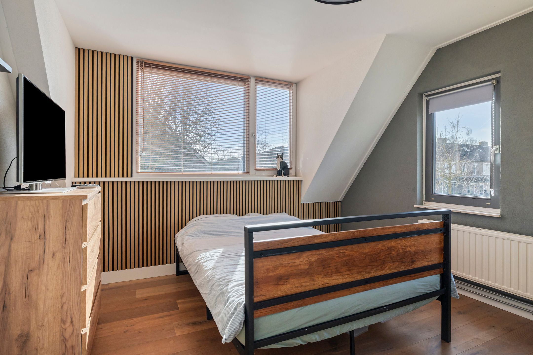 Photo 21 of Vlaamse Gaai 7