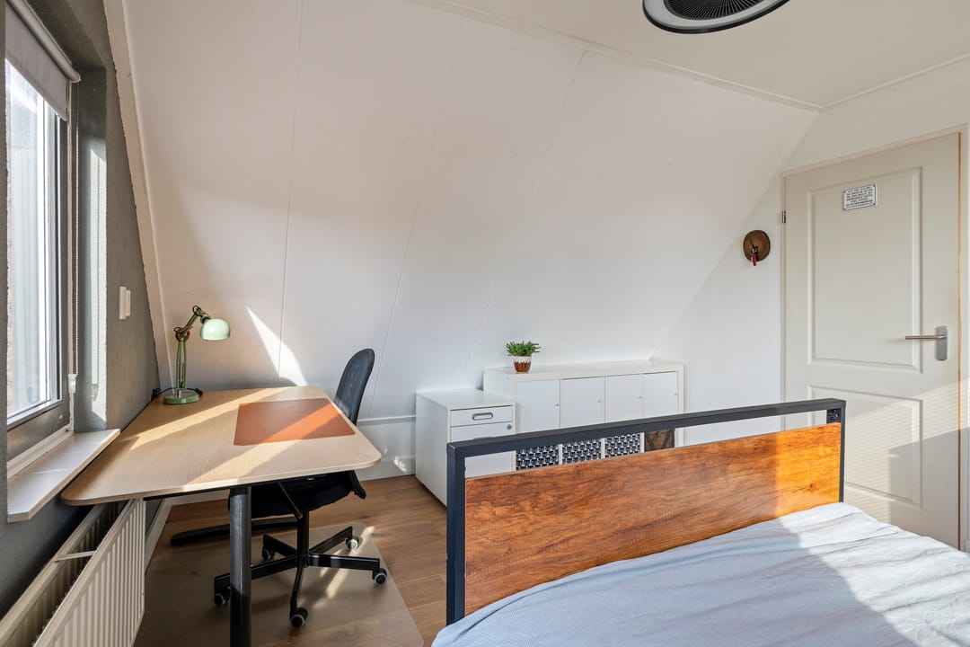 Photo 22 of Vlaamse Gaai 7