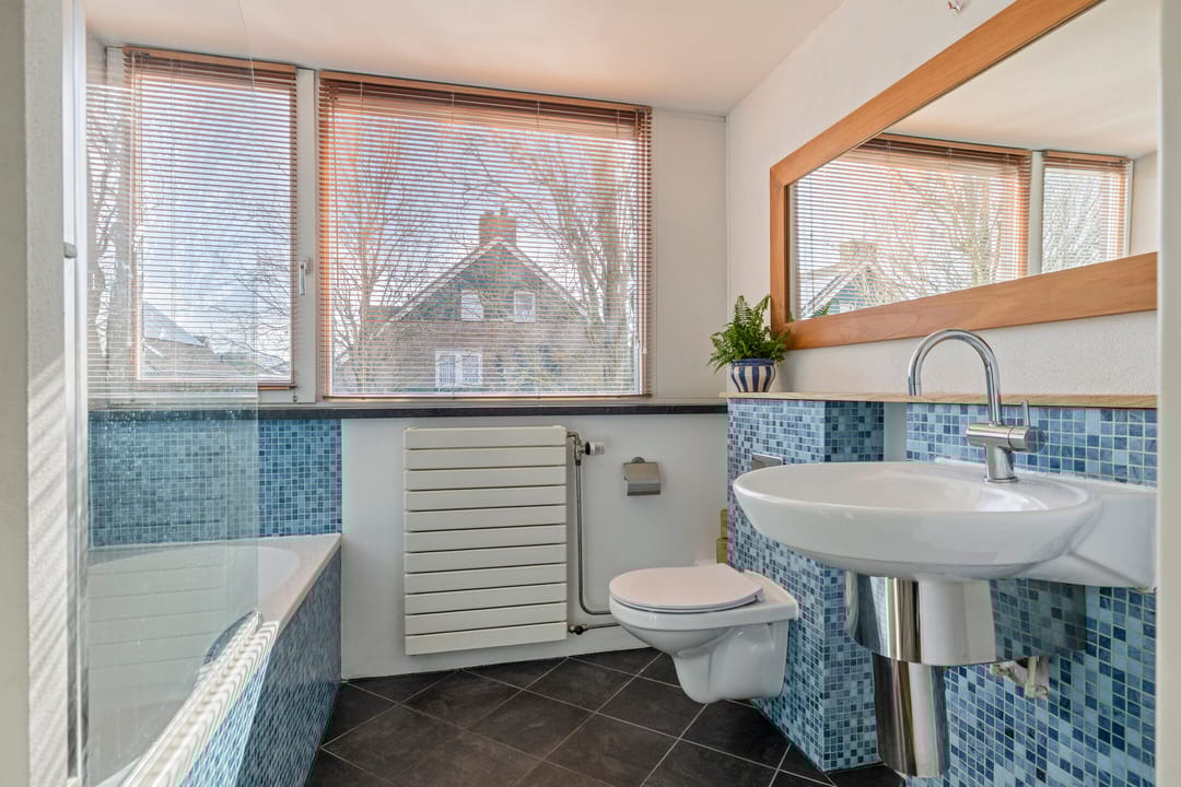 Photo 23 of Vlaamse Gaai 7