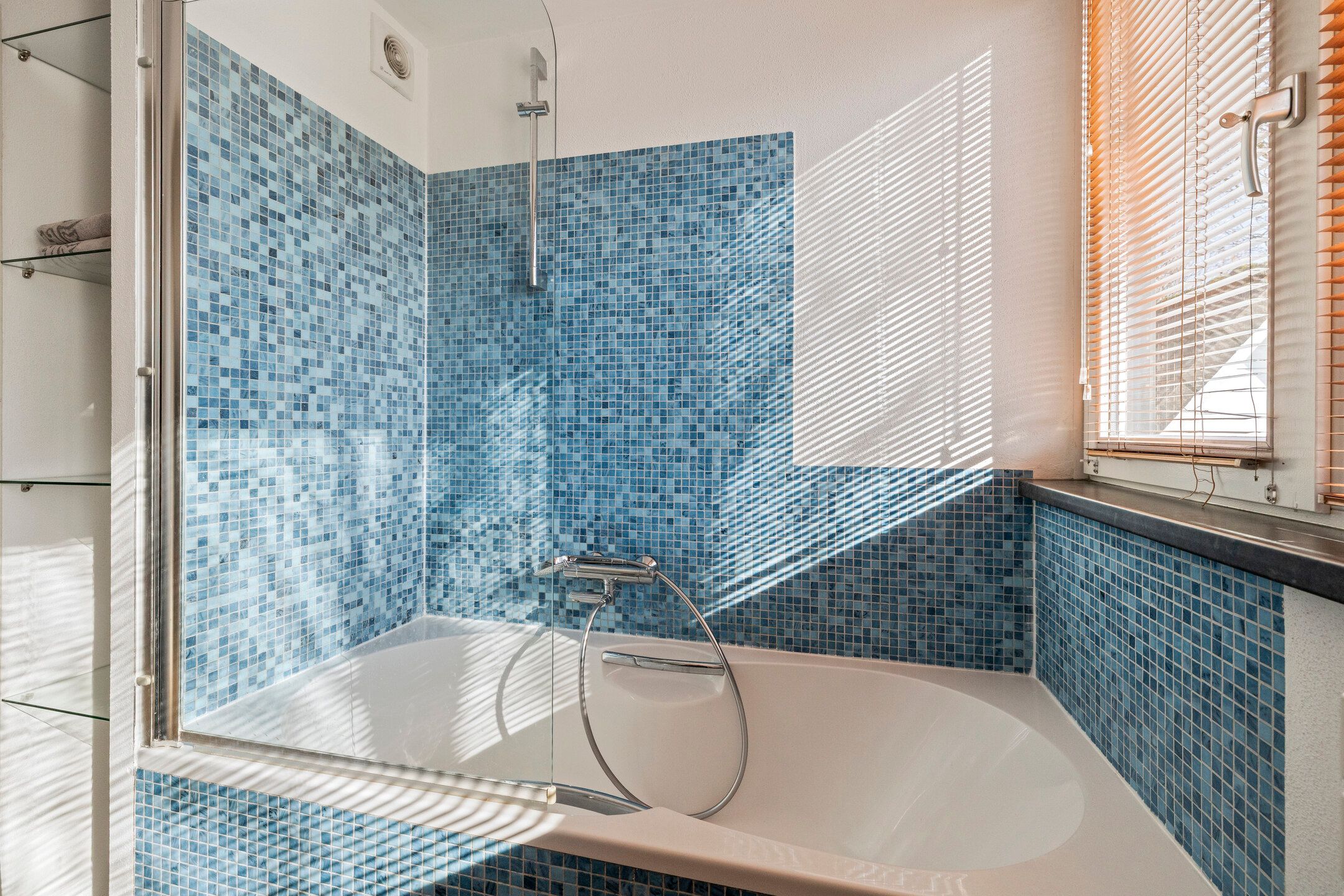 Photo 24 of Vlaamse Gaai 7