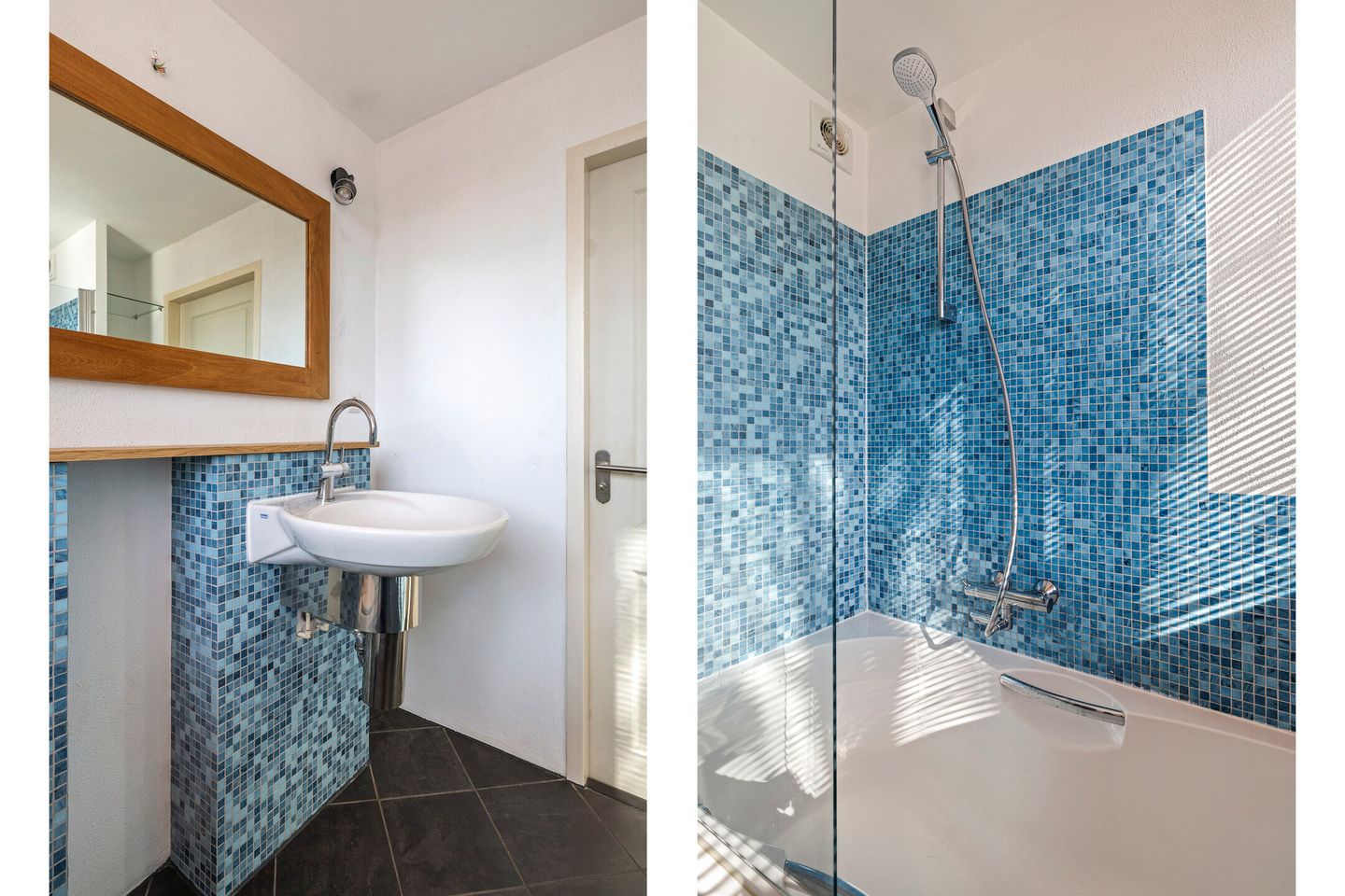 Photo 25 of Vlaamse Gaai 7