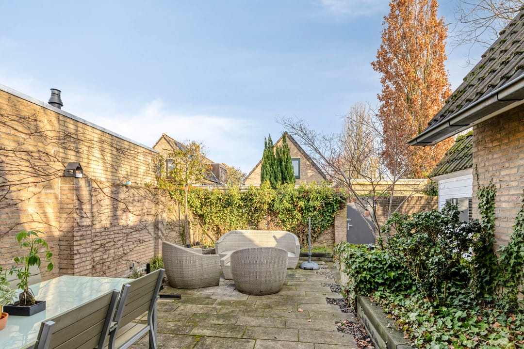 Photo 31 of Vlaamse Gaai 7