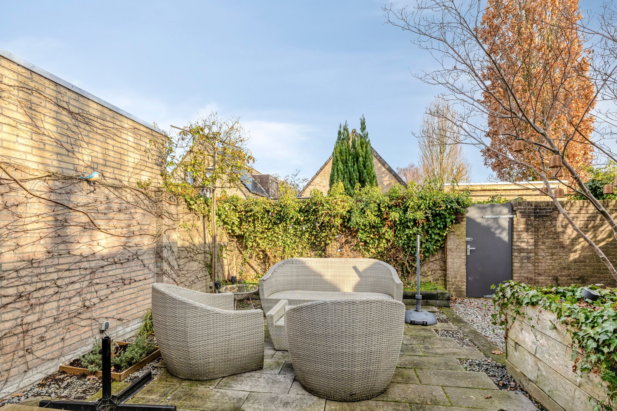 Photo 33 of Vlaamse Gaai 7