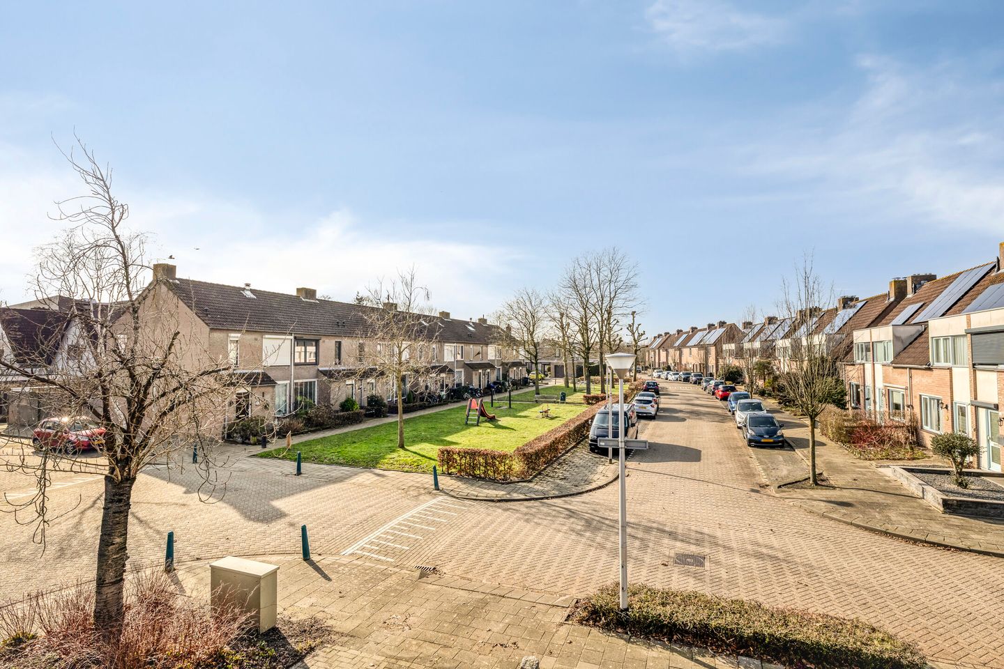 Photo 34 of Vlaamse Gaai 7