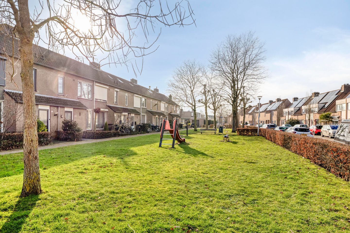 Photo 35 of Vlaamse Gaai 7