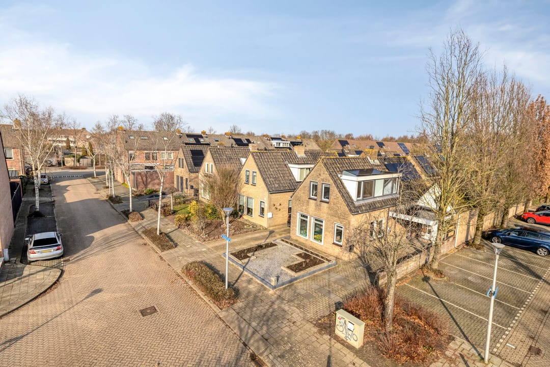 Photo 37 of Vlaamse Gaai 7