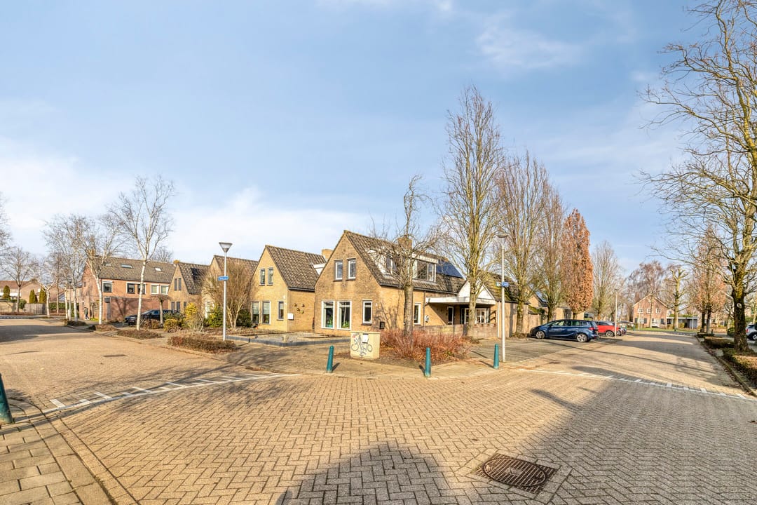 Photo 38 of Vlaamse Gaai 7