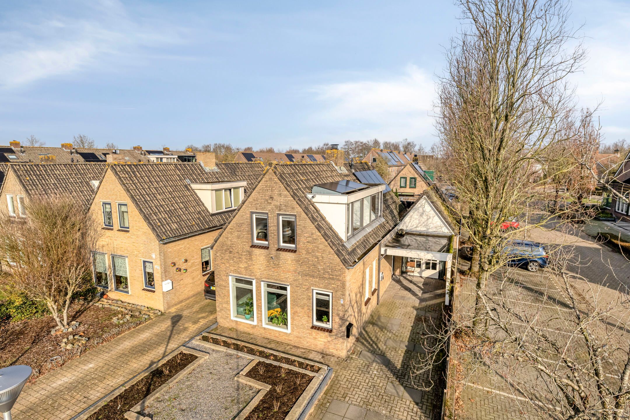 Photo 39 of Vlaamse Gaai 7