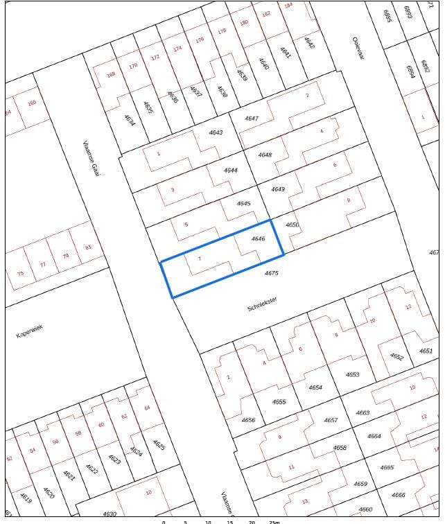 Photo 48 of Vlaamse Gaai 7