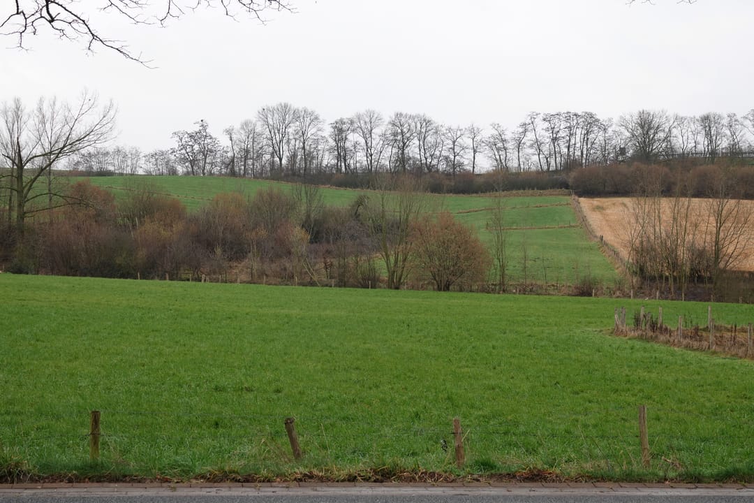 Foto 28 van Wittemerweg 13