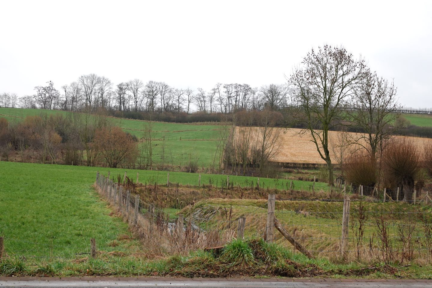 Foto 29 van Wittemerweg 13