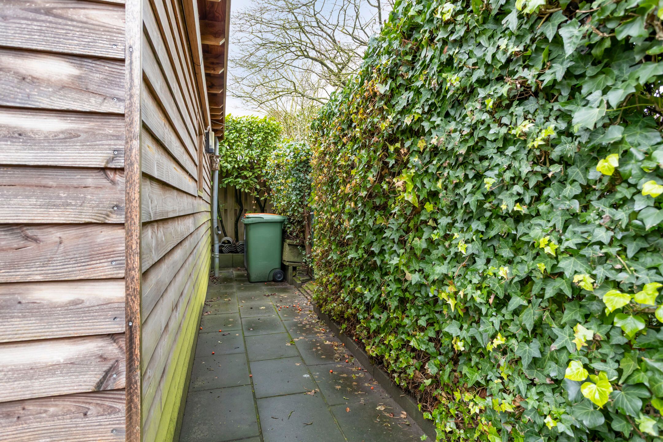 Foto 54 van Tiendevrij 5