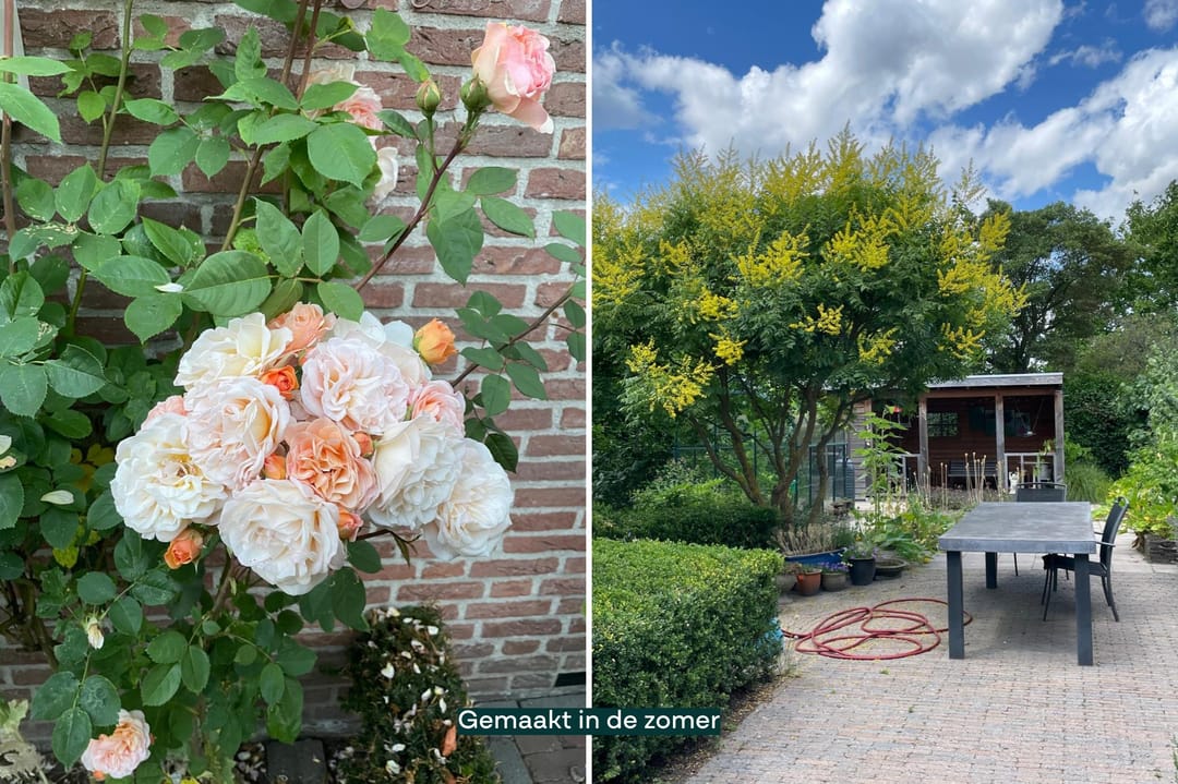 Foto 62 van Tiendevrij 5