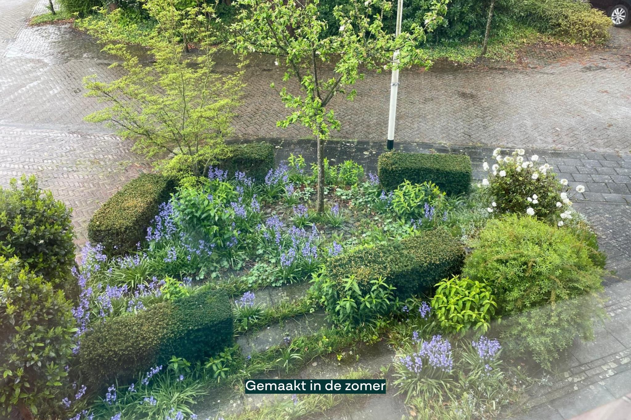 Foto 63 van Tiendevrij 5