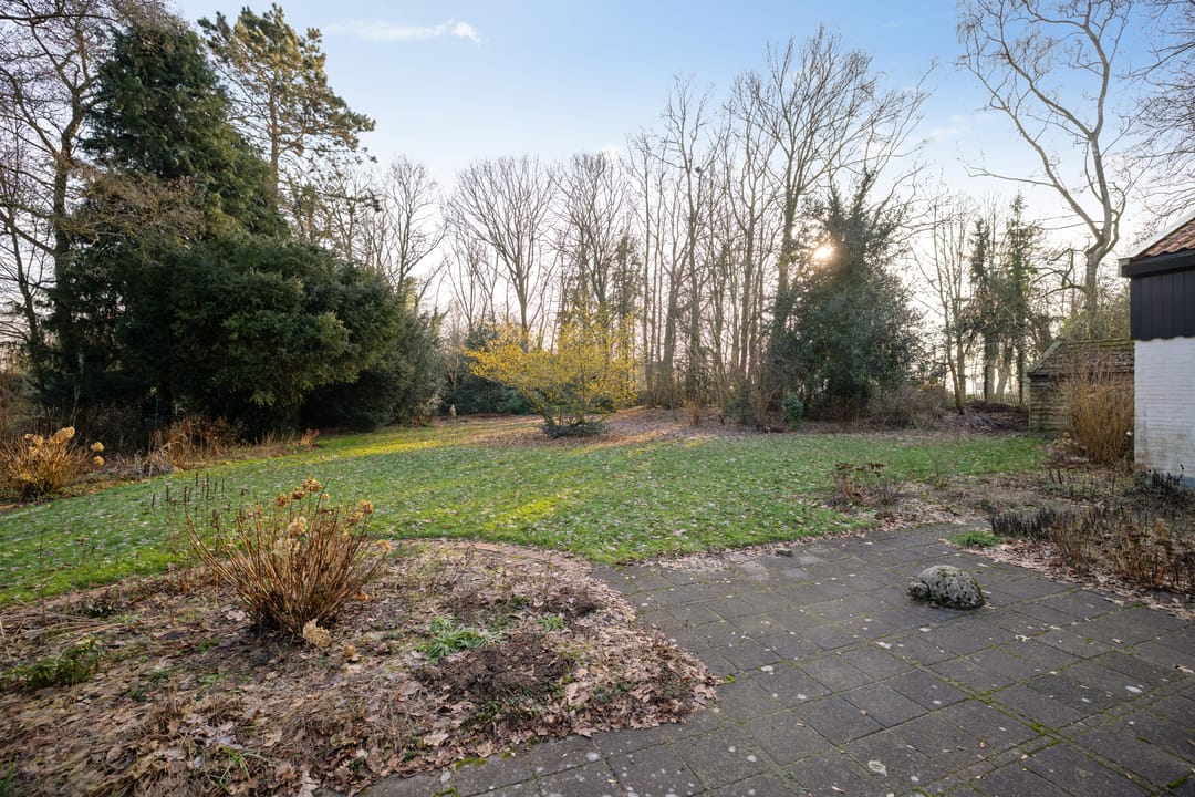 Photo 23 of Schelfhorst 16