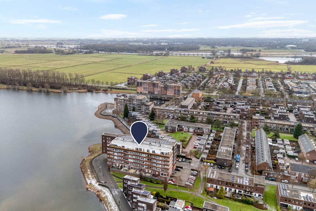 Foto 1 van Puntkroos 75