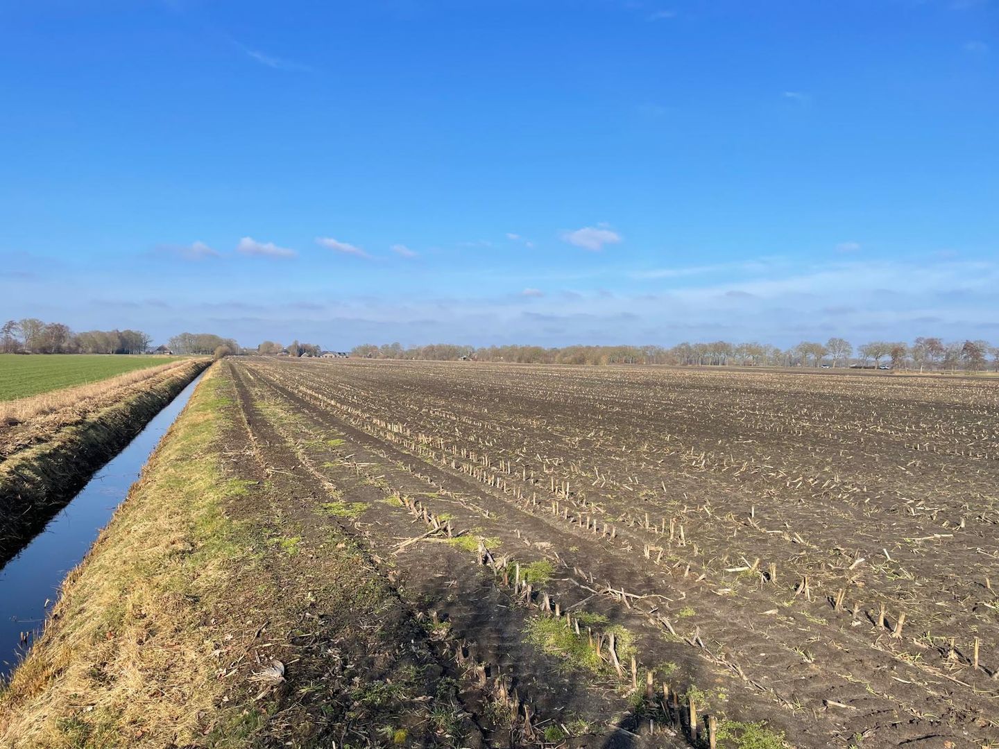 Bekijk foto 4 van Westeinde