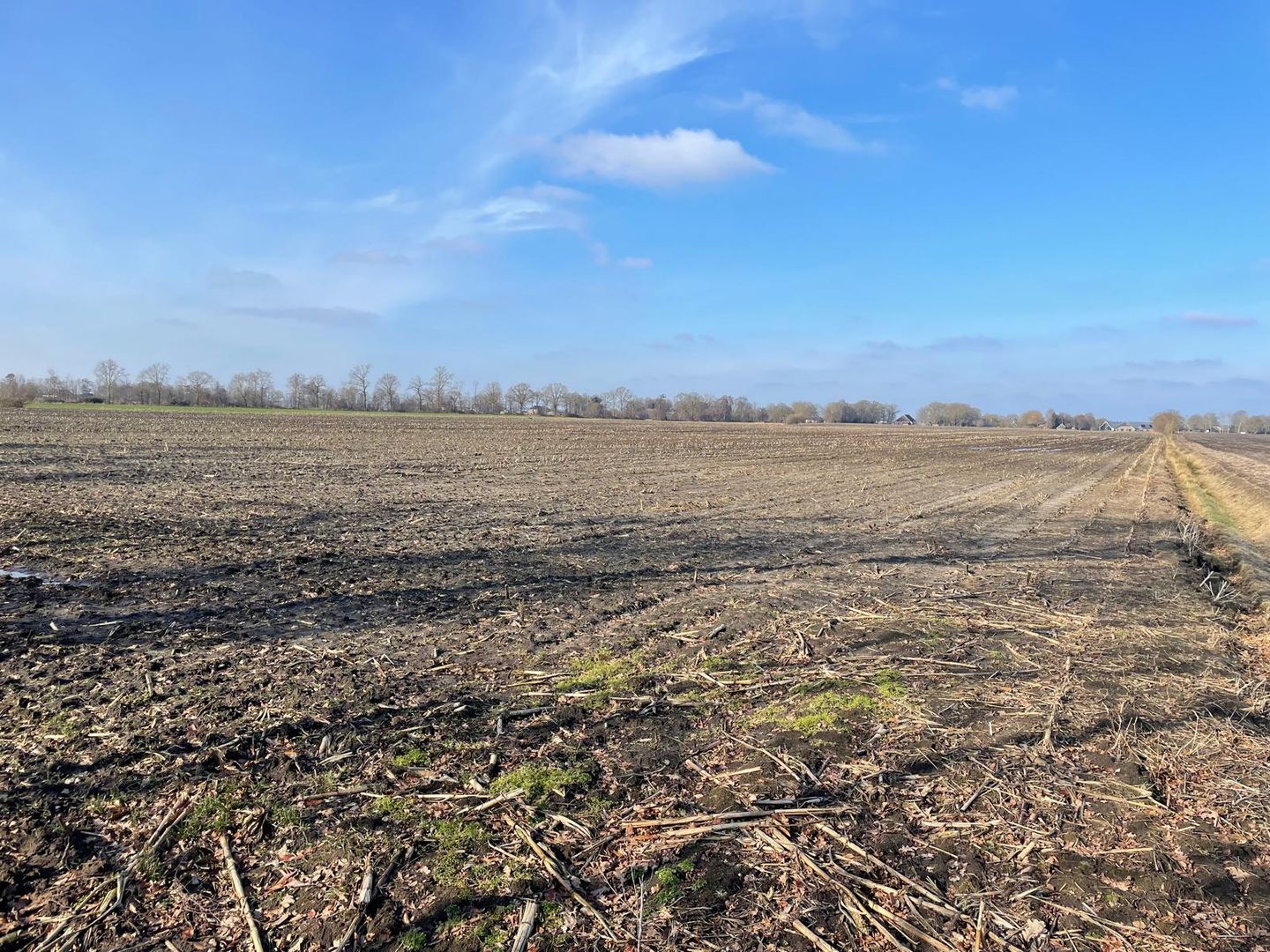 Bekijk foto 3 van Westeinde