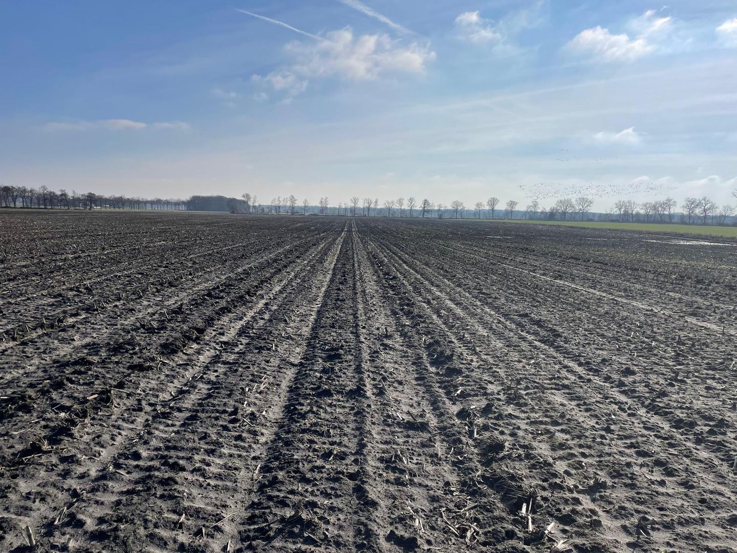 Bekijk foto 5 van Westeinde