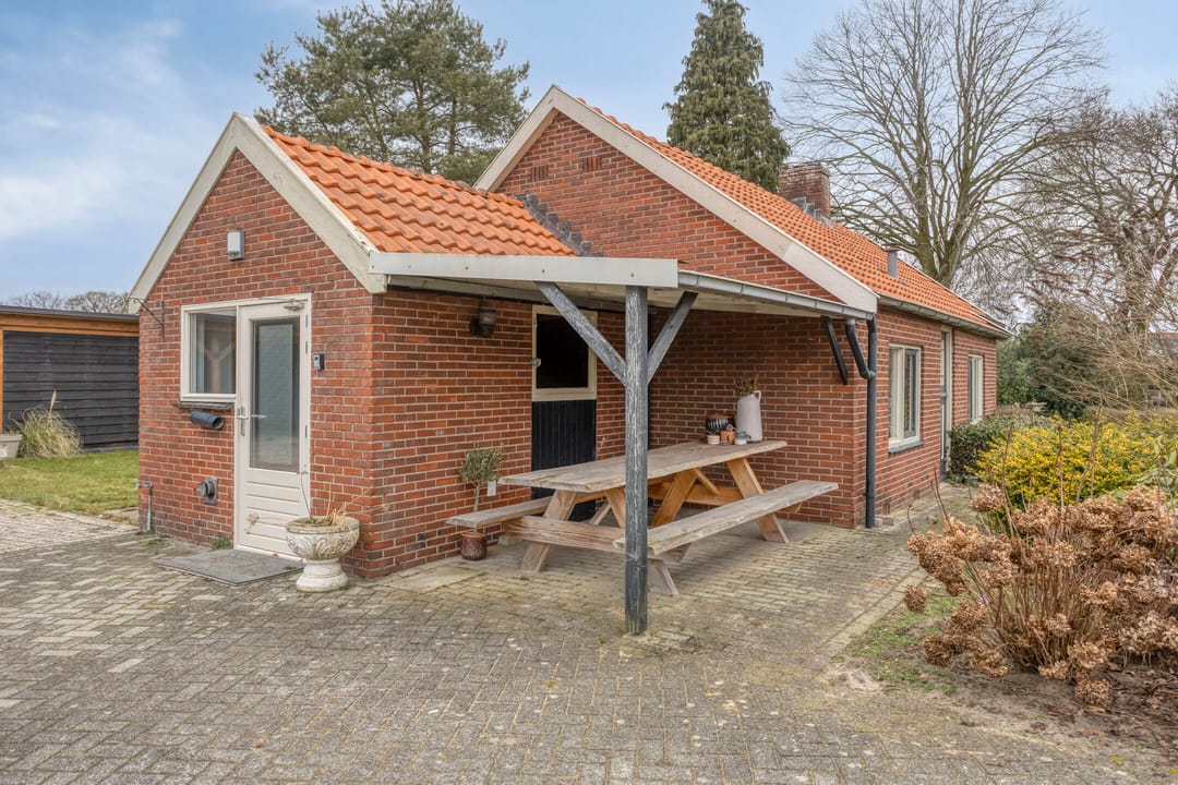 Foto 11 van Schaapstreek 1