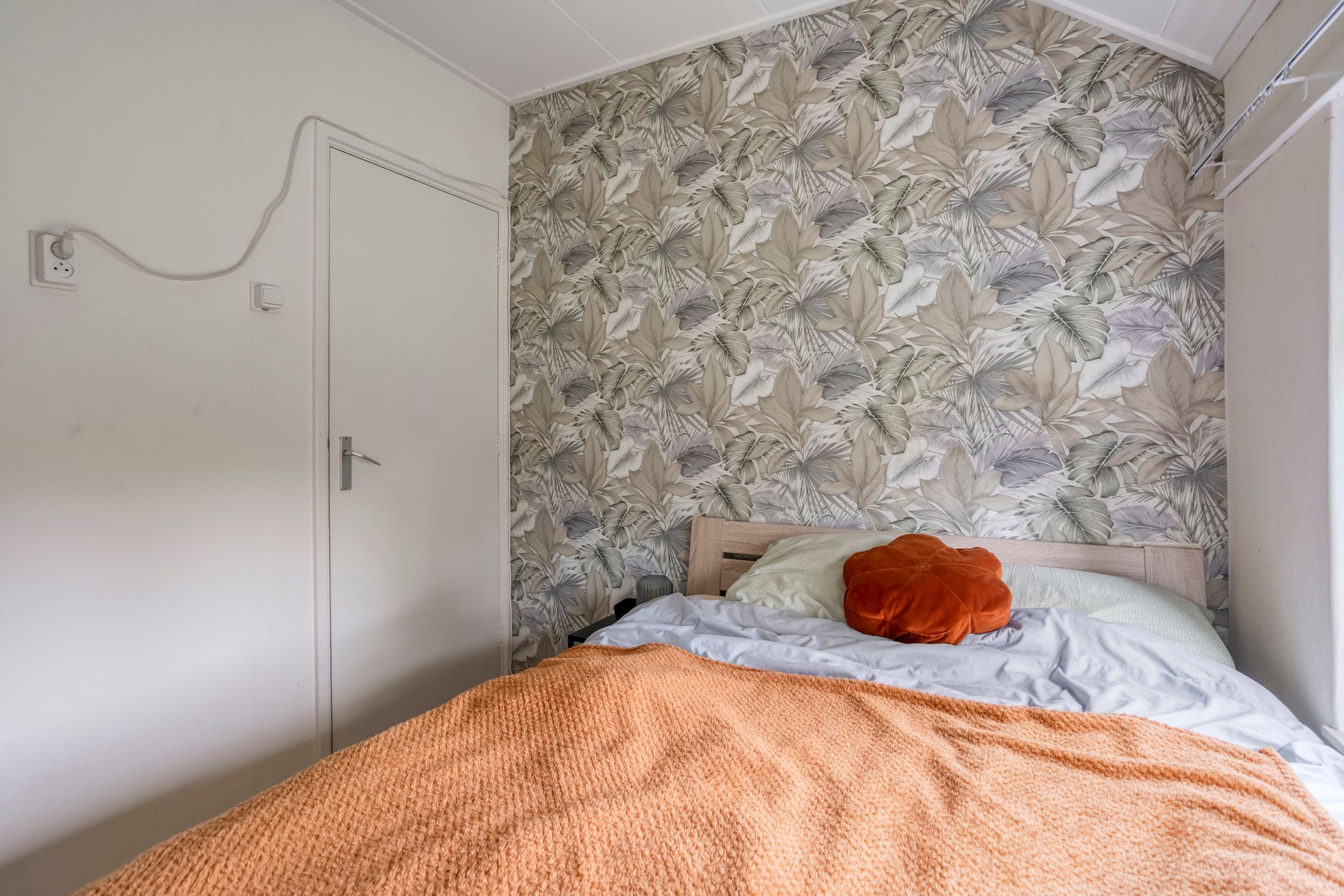 Foto 24 van Schaapstreek 1