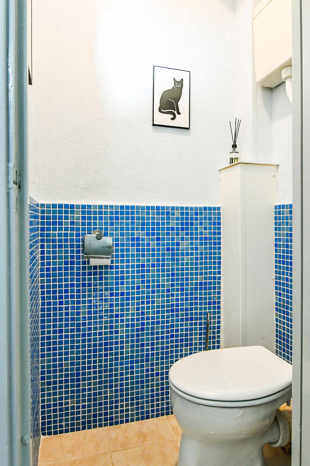 Foto 31 van Langswater 249