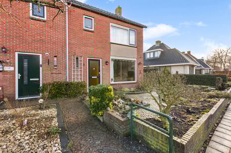 undefined main image