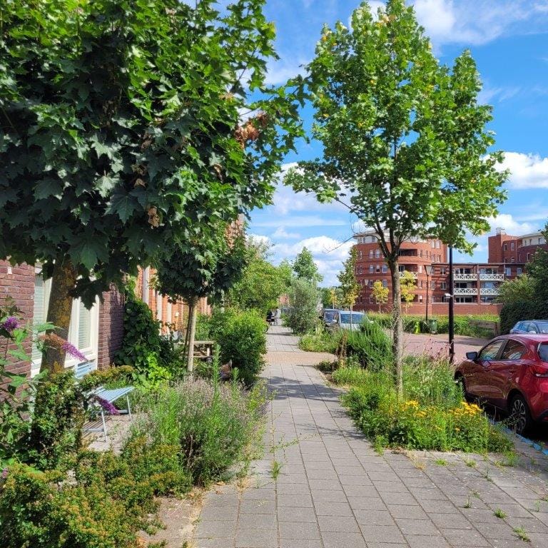 Photo 36 of Hoornwerk 23