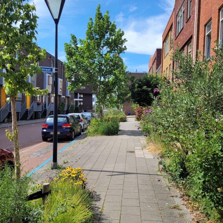 Photo 37 of Hoornwerk 23