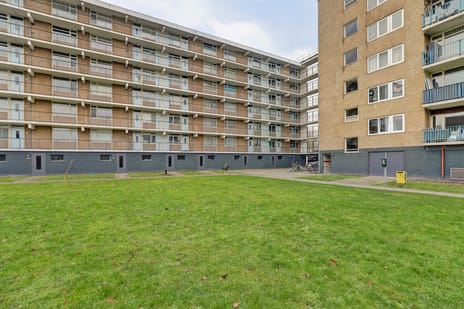 Venusstraat thumbnail