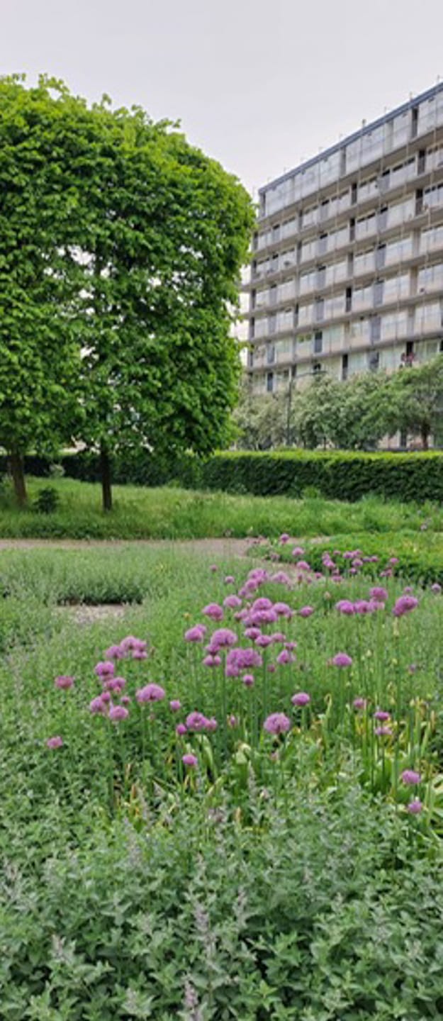 Photo 5 of Engelandlaan 210