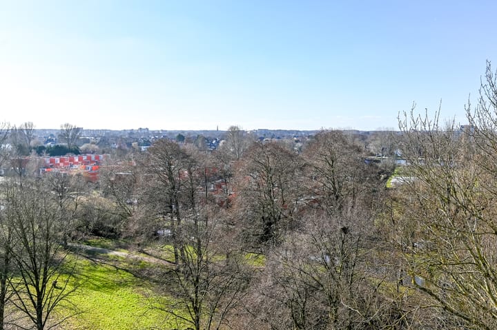 Foto 21 van Engelandlaan 210