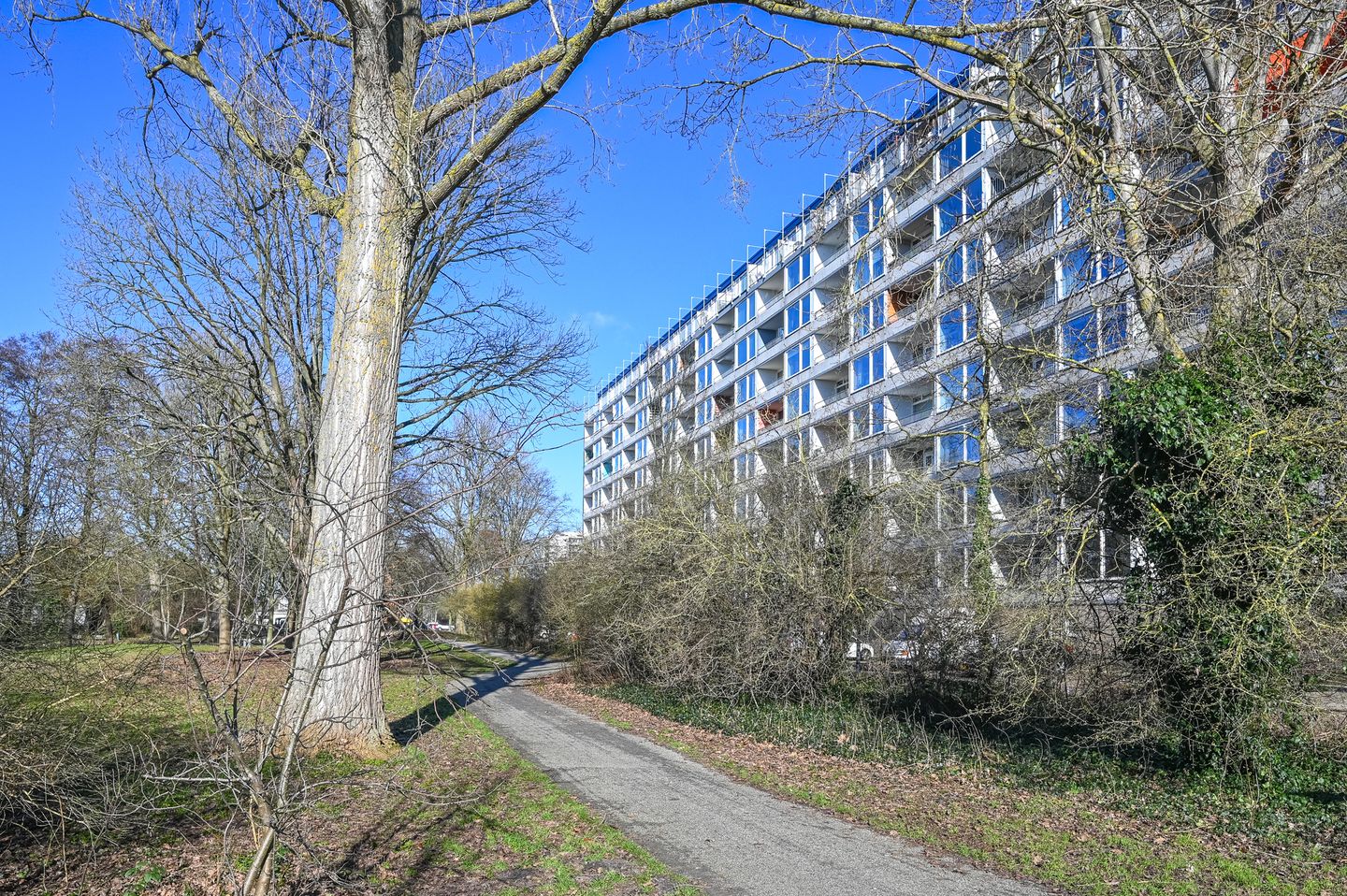 Photo 35 of Engelandlaan 210