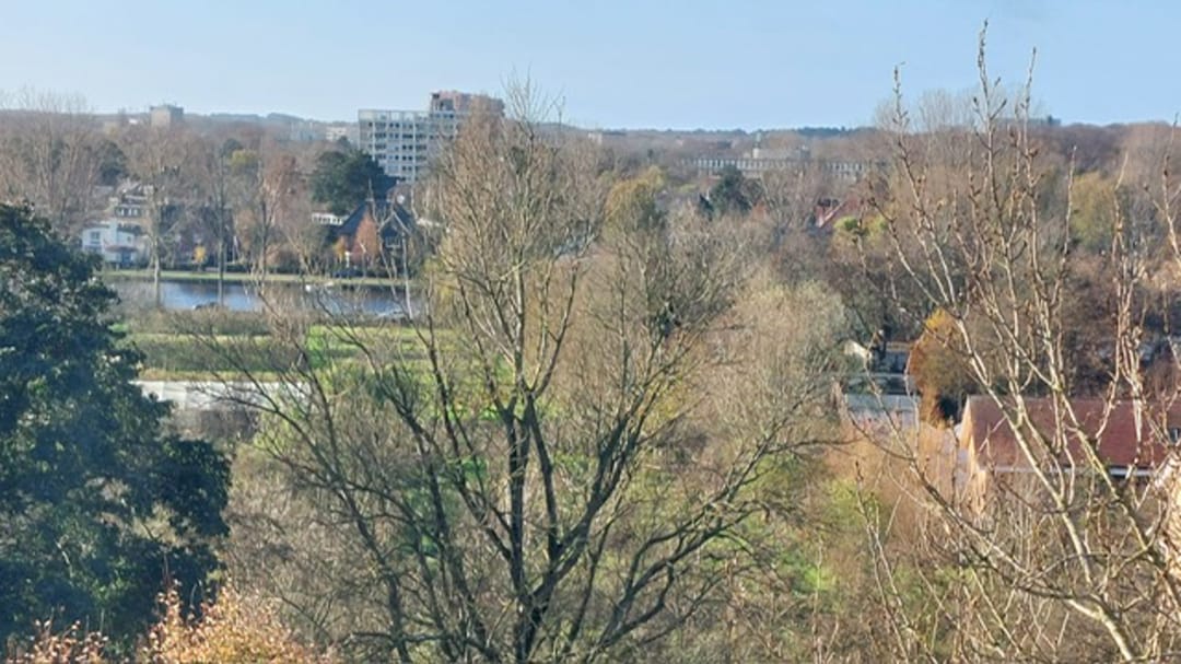 Photo 37 of Engelandlaan 210