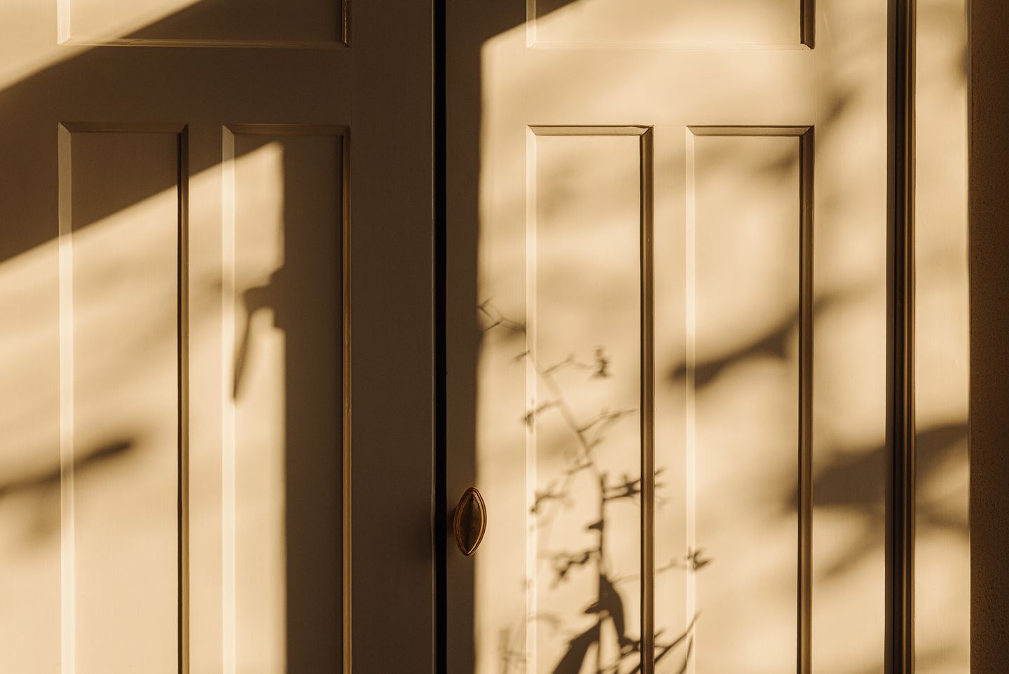 Foto 14 van Nieuw-Loosdrechtsedijk 168