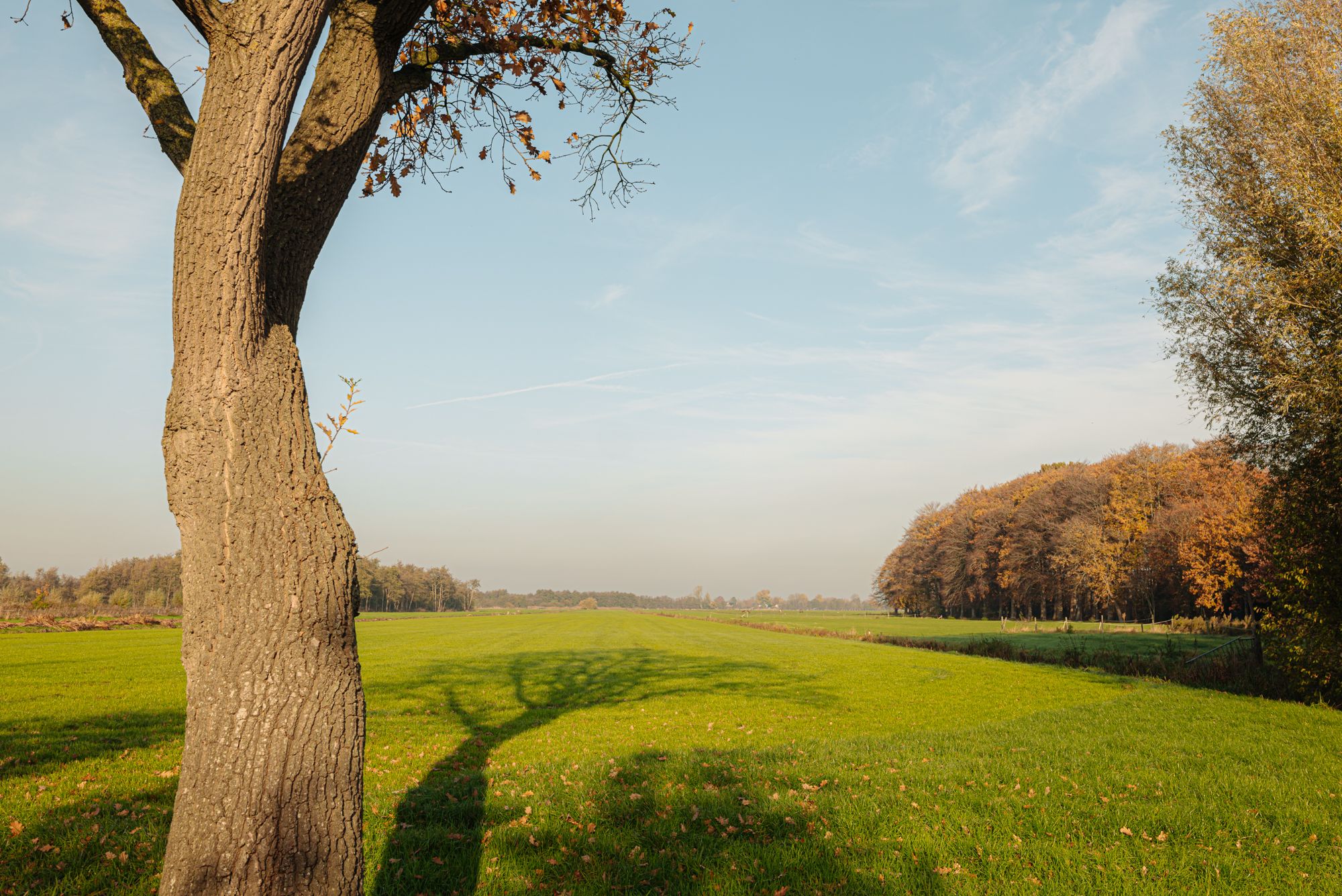 Foto 75 van Nieuw-Loosdrechtsedijk 168