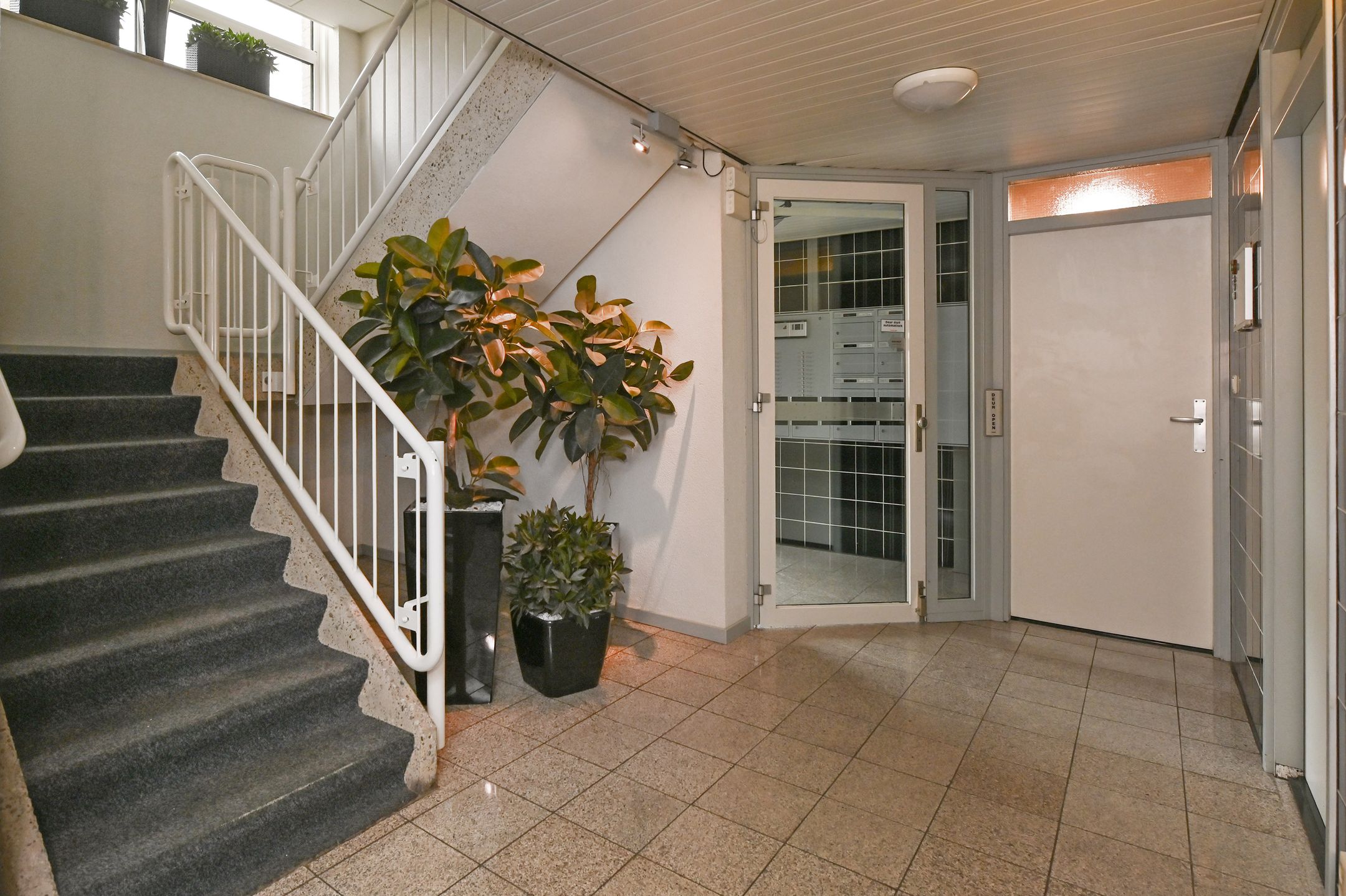 Foto 9 van Dublinstraat 123