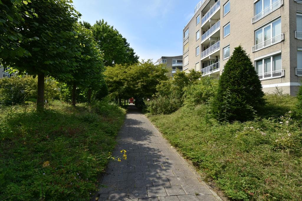 Foto 39 van Dublinstraat 123